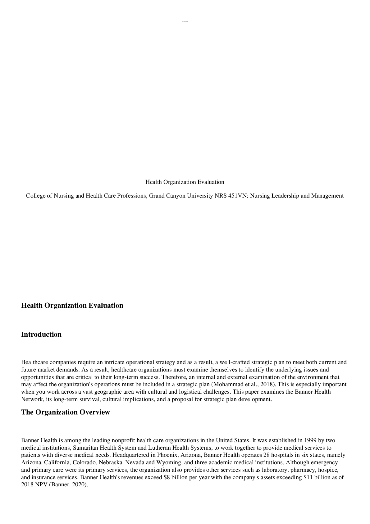 Preview image for NRS 451VN Week 5 Assignment Health Organization Evaluation